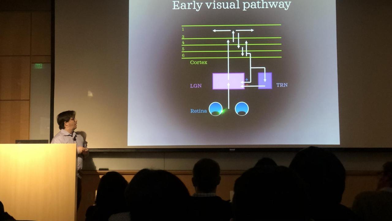 Henry reviewing the early visual system Henry presenting